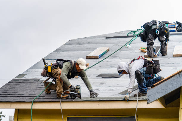 Professional Storm Damage Roof Repair technician working in Hamlin, WV